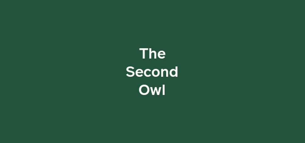 The Second Owl logo